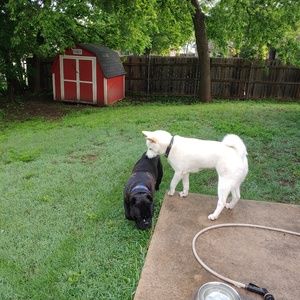 Meet your Posher, Andrew